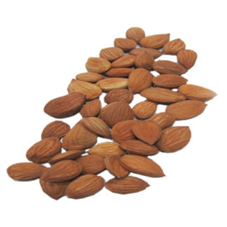 dried apricot kernel