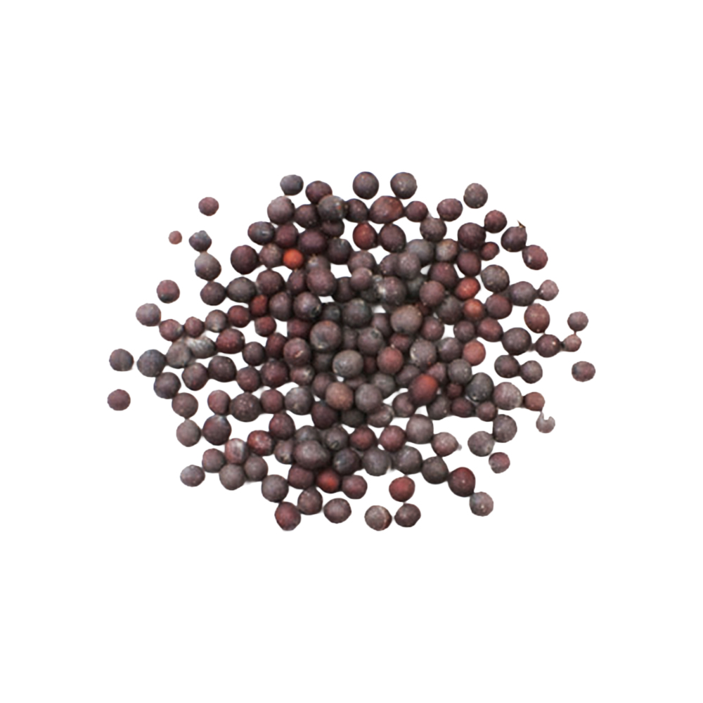 Black Mustard Seeds