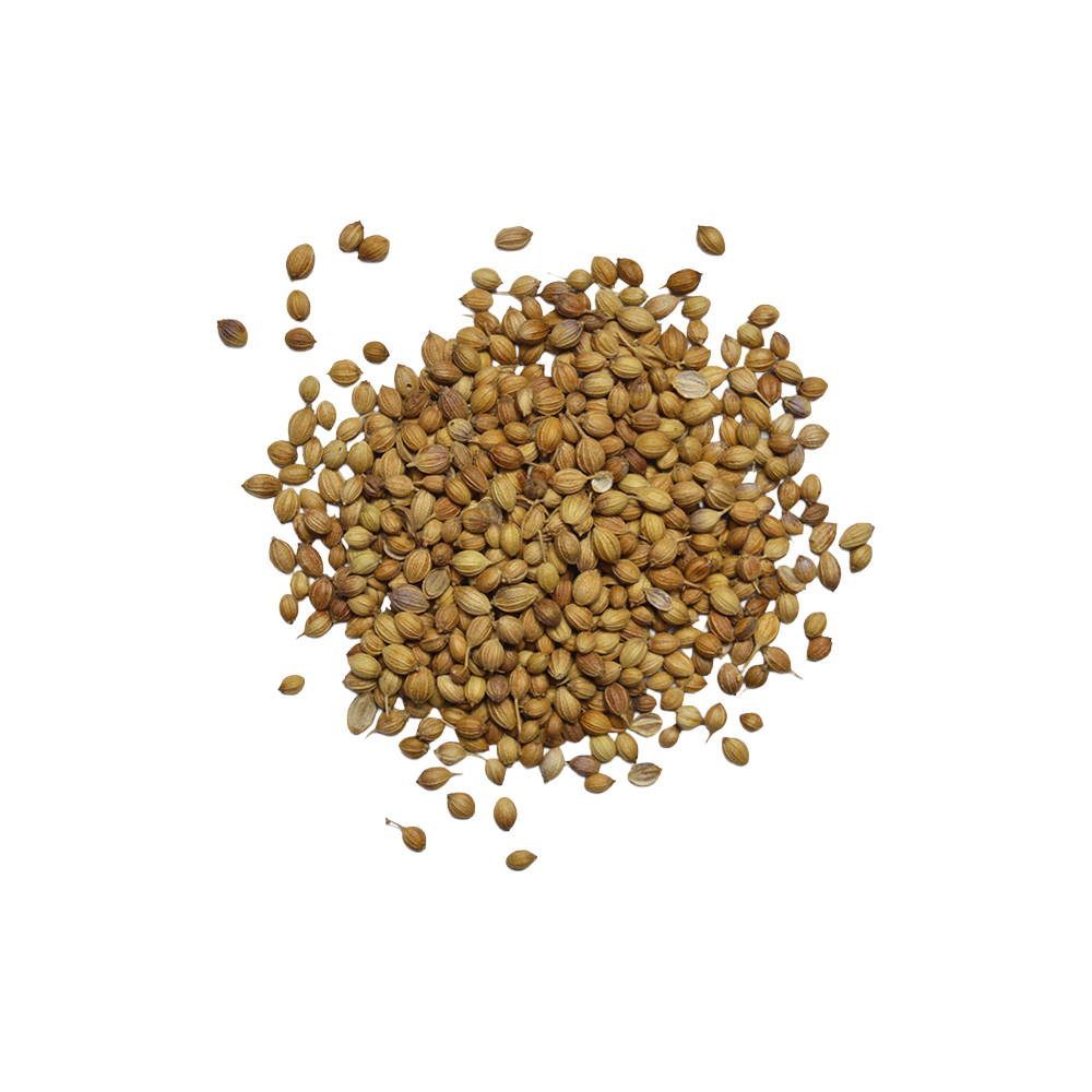 Coriander Seeds