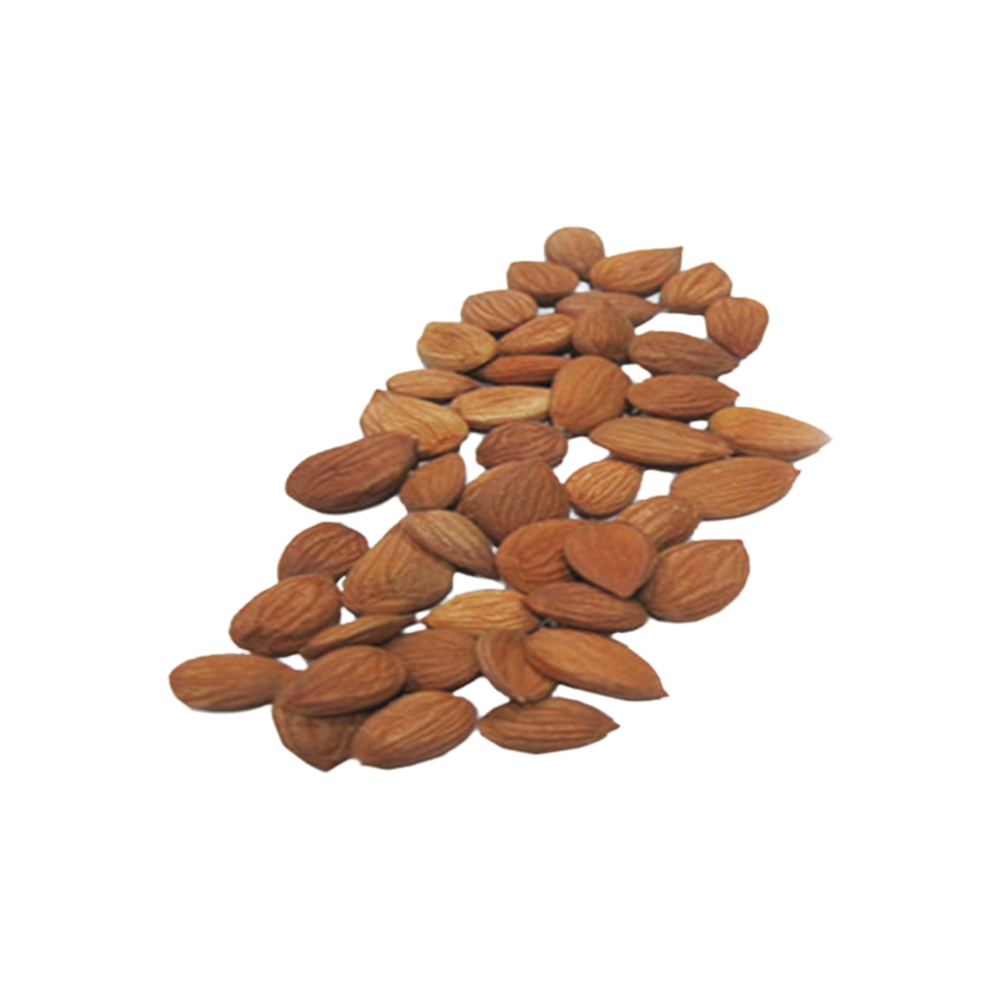 Dried Apricot Kernel