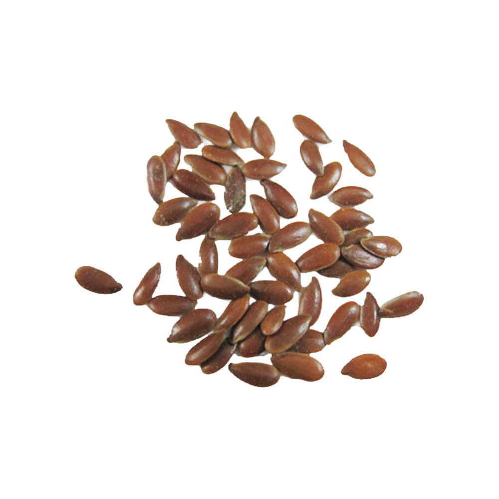 Flax Seeds