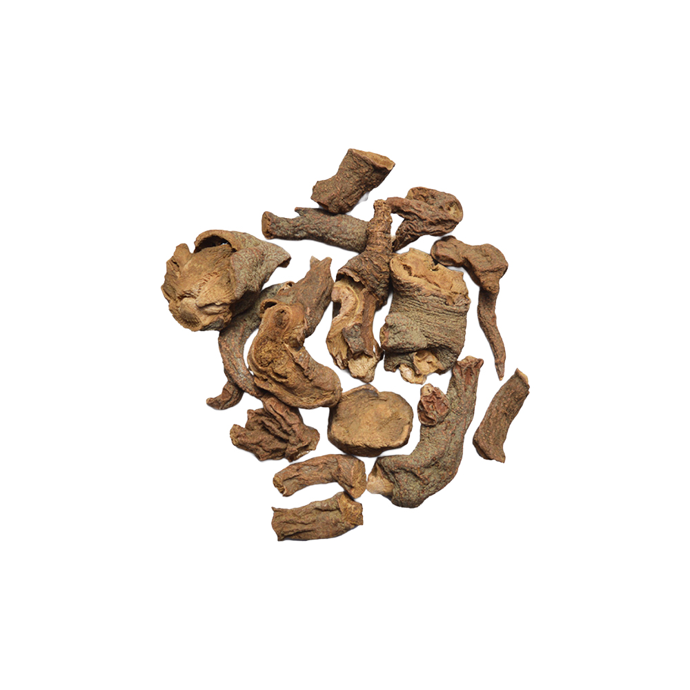 Red Sage / Garden Sage