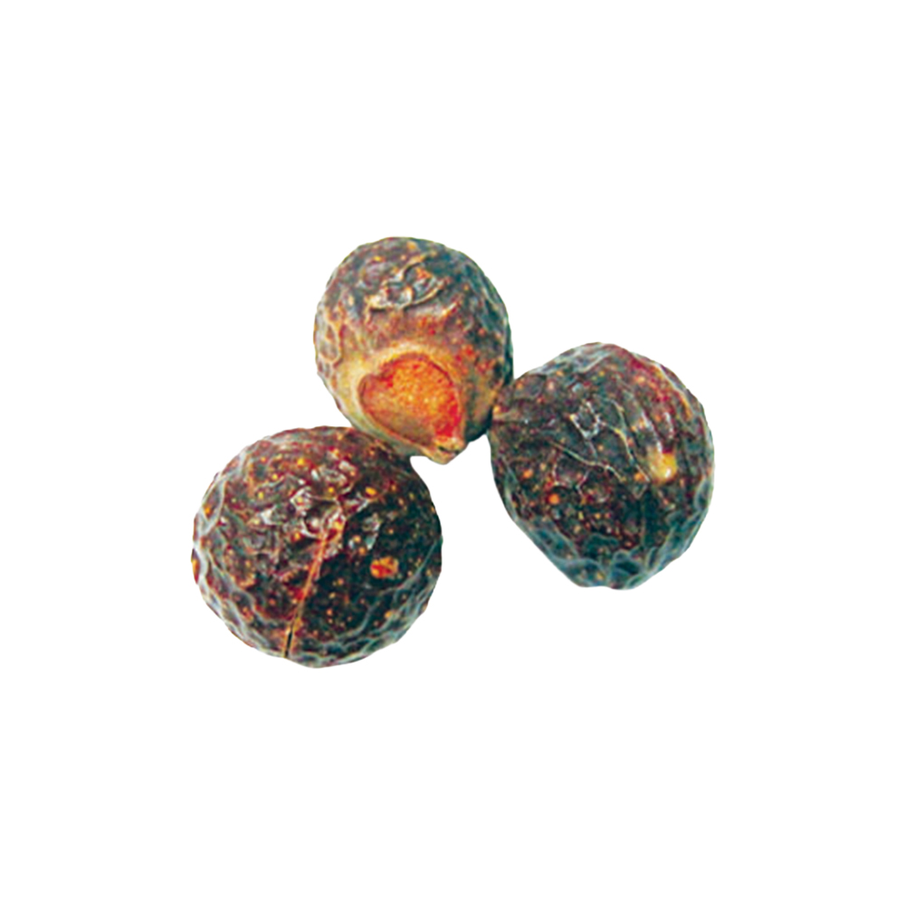 Soap Nut