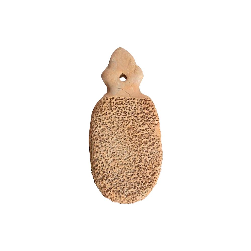 foot scrubber regular