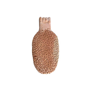 foot scrubber regular