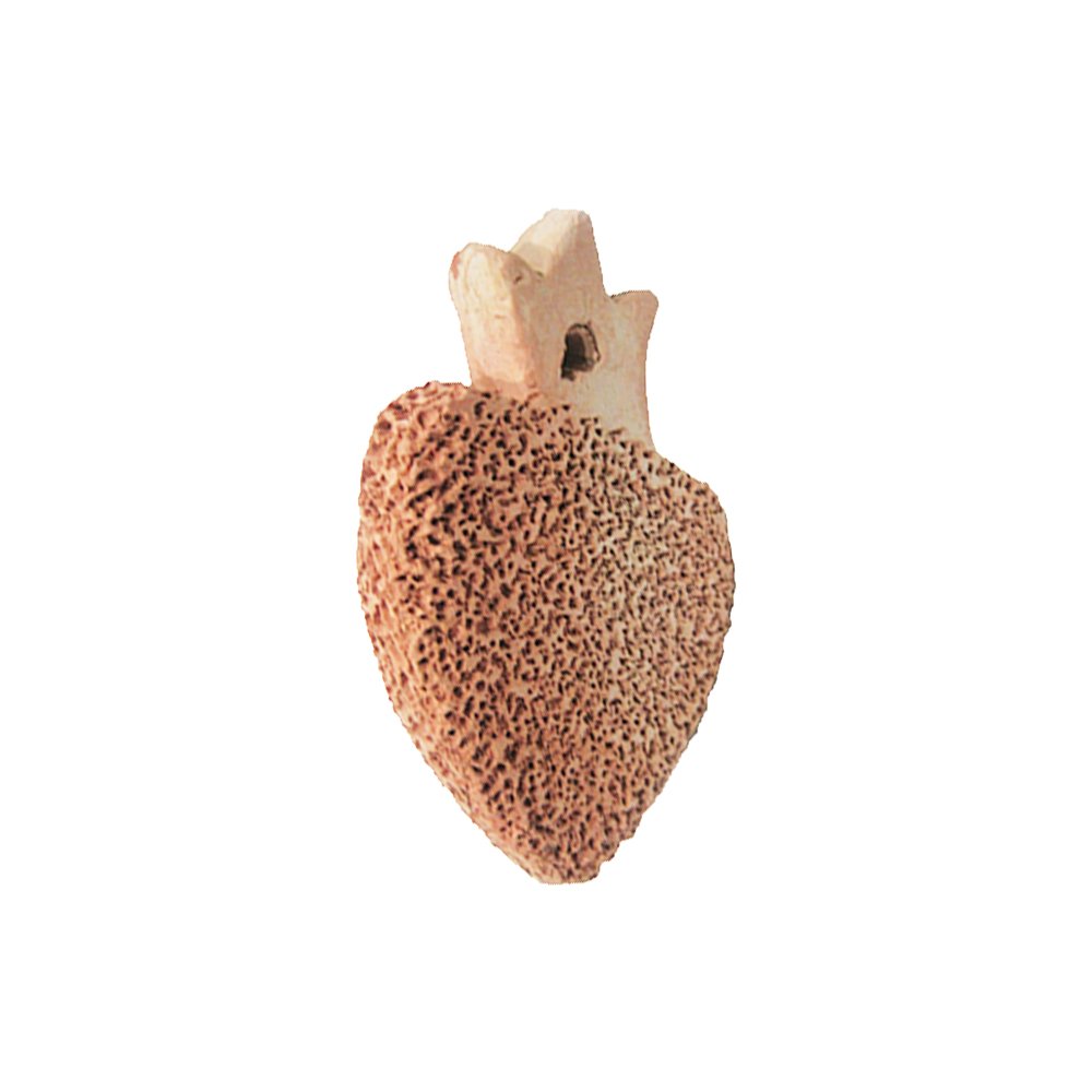 foot scrubber regular - Image 4