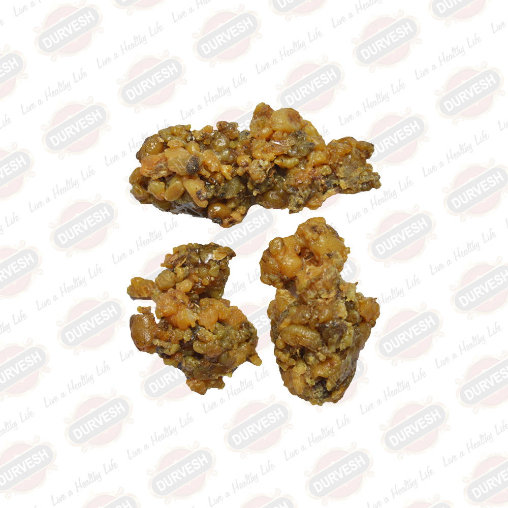 AMMONIAC GUM WASHAQ