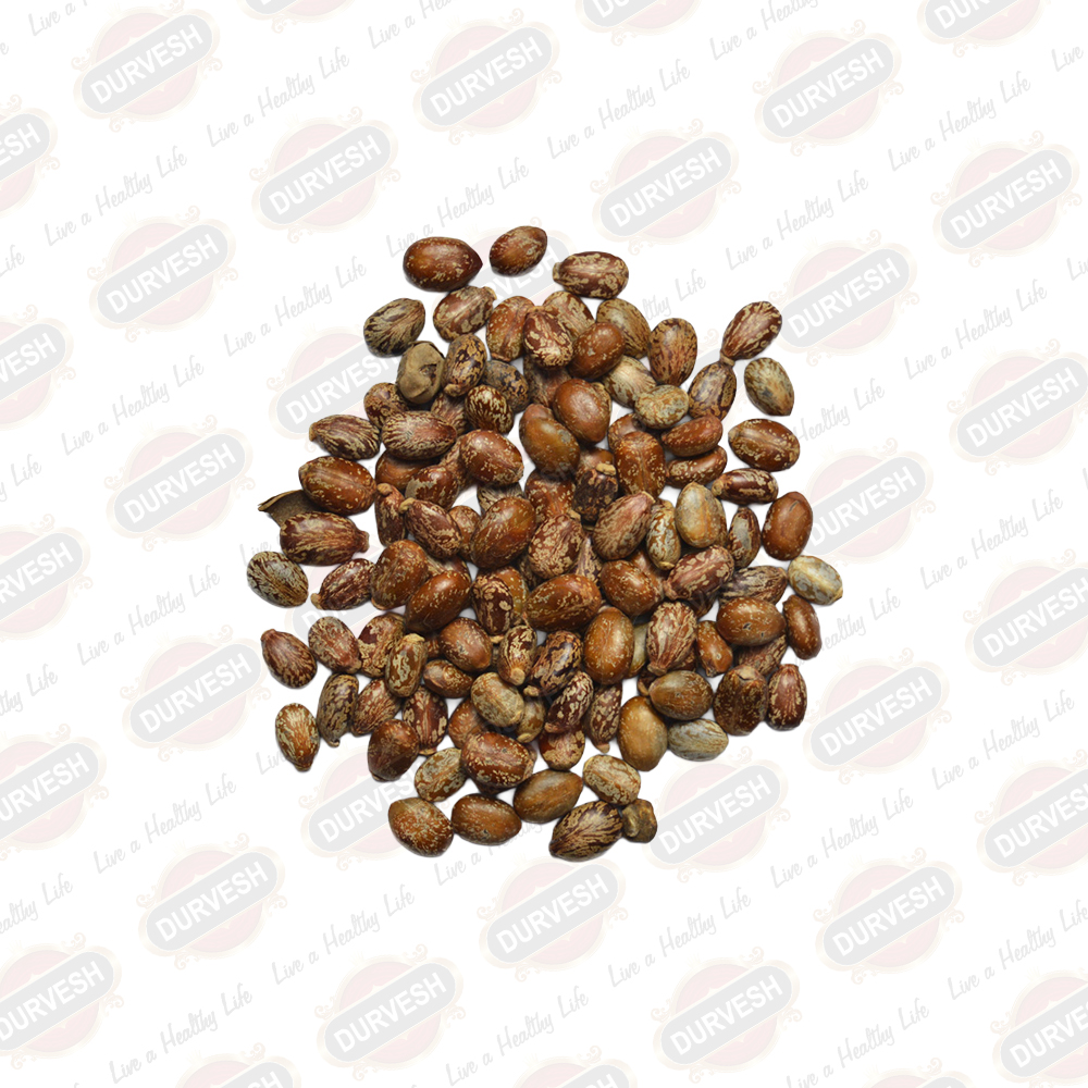 Castor Seeds