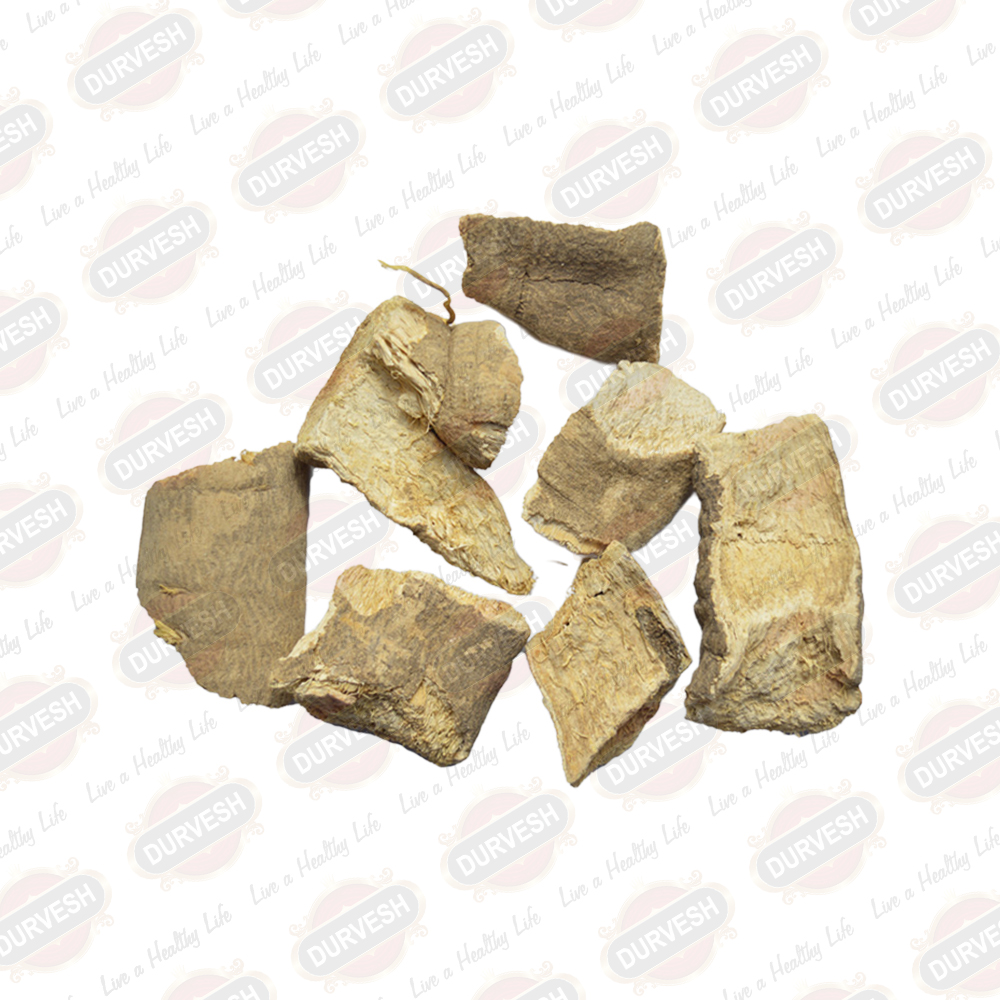Costus Root White