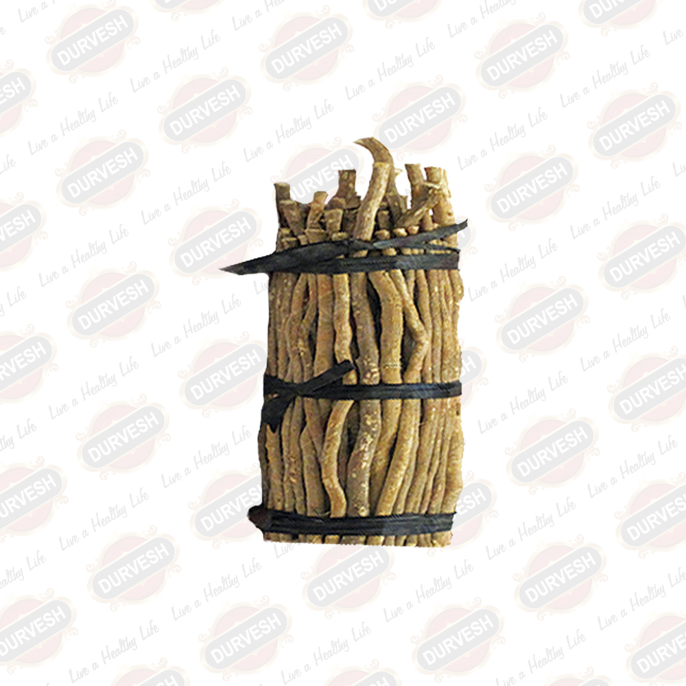 MISWAK – PILU – TOOTHBRUSH TREE