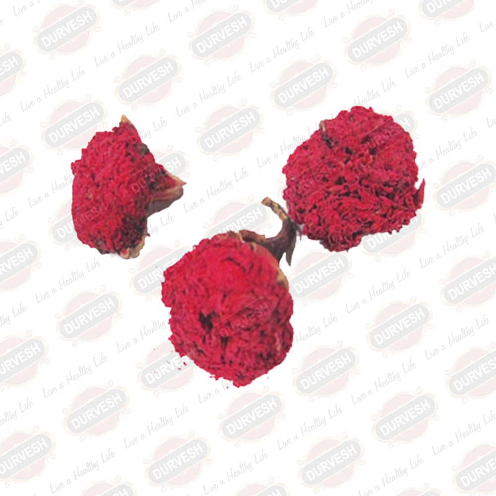 Pomegranate Flower