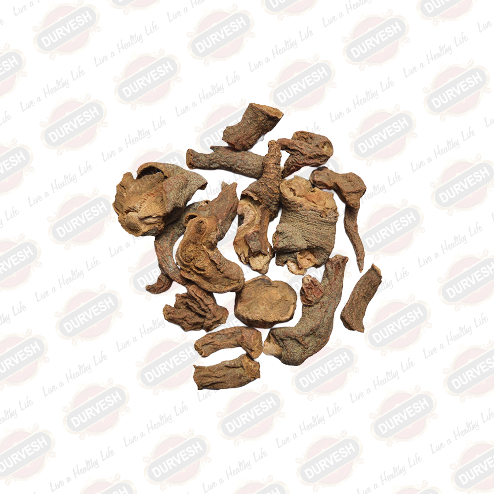 Red Sage / Garden Sage