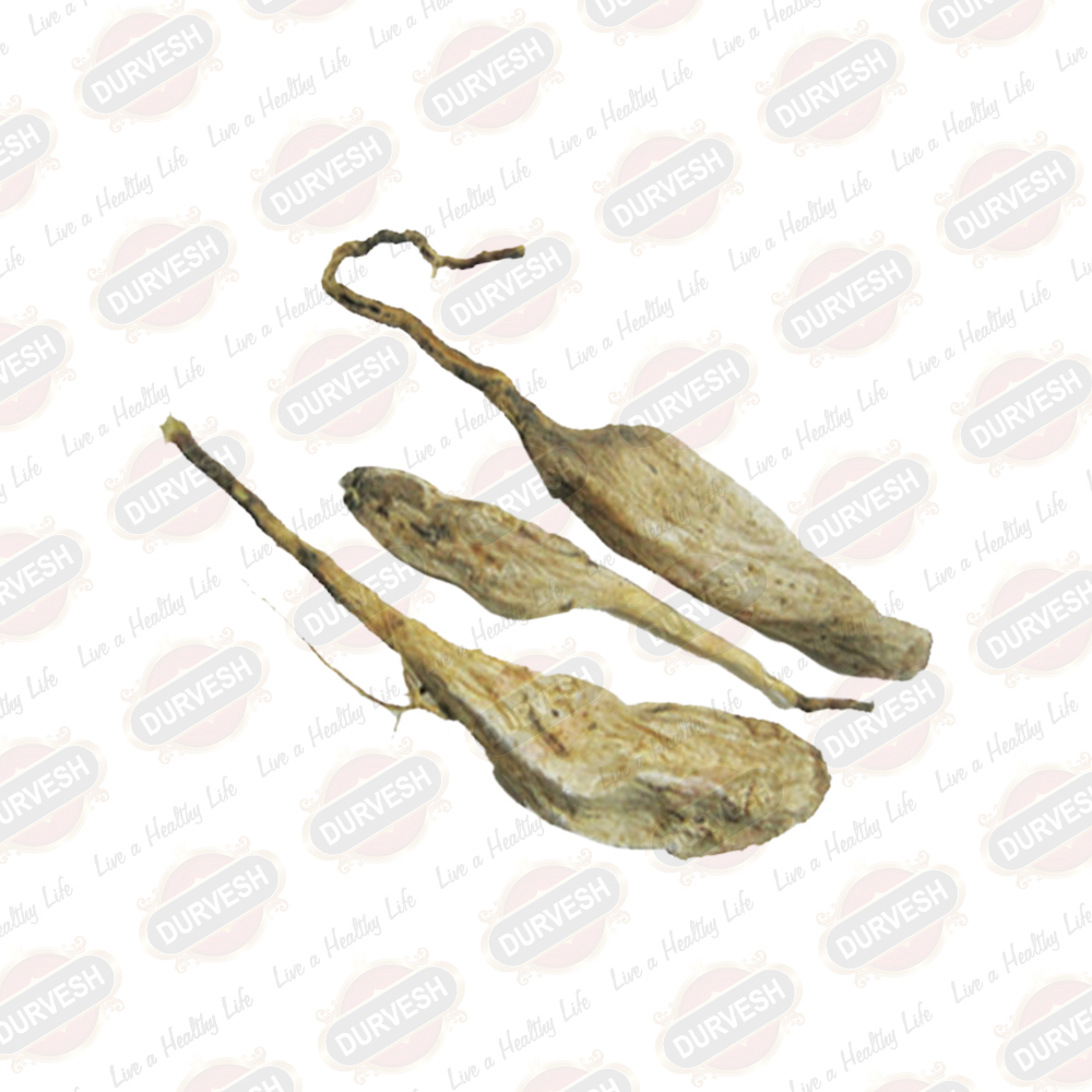 White Behen / White Sage